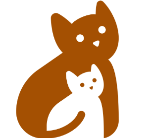 Welcome Emirati kittens